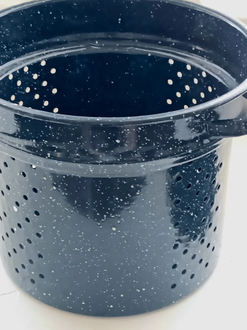 Enamel Speckled Black Stockpot and Roasting Pan Set - Black
